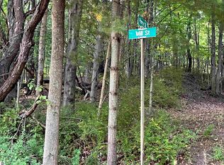 Mill St #10-12, Bear Lake, MI 49614