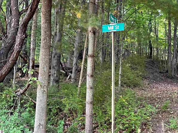 Mill St Lot 10-12, Bear Lake, MI 49614