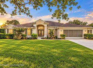 10242 Swanson Ct, Spring Hill, FL 34608