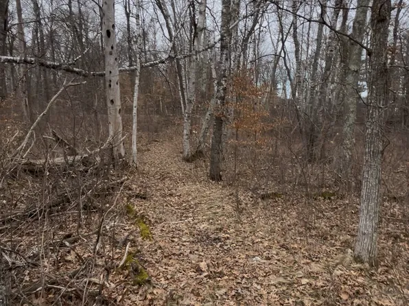 Tbd Big Pine Trl, Crosslake, MN 56442