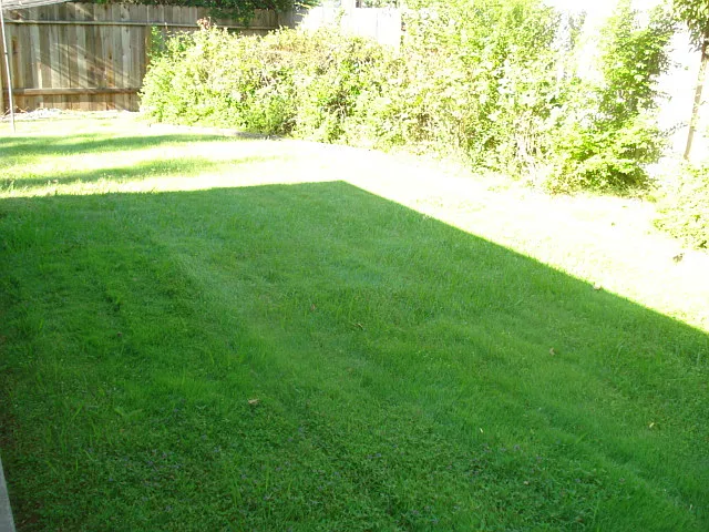 4209 Horgan Way — Photo 21