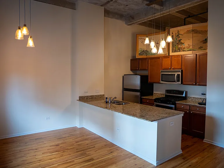 1735 N Paulina St #318 — Photo 13