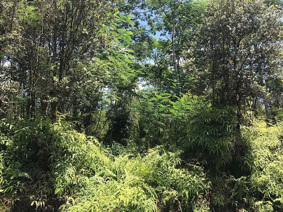 2nd image of Forest Rd Lot 411