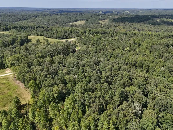 0 Freedom Rdg Lot 12, Indian Mound, TN 37079