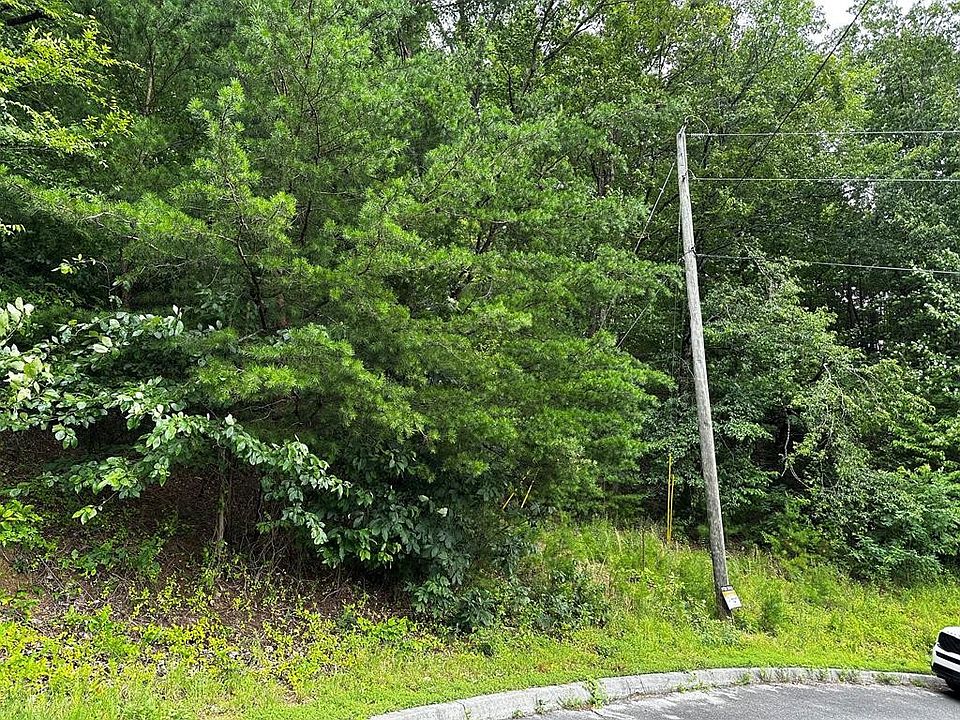 1st image of 0 Alvins Ridge Dr Lot 13