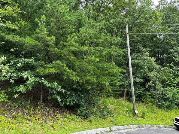 0 Alvins Ridge Dr Lot 13, Sevierville, TN 37876