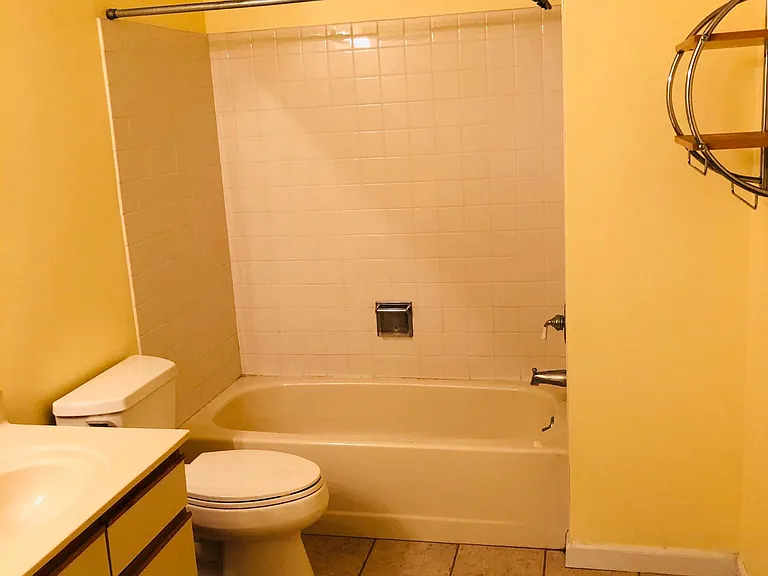 Master Bathroom - Jack and Jill type