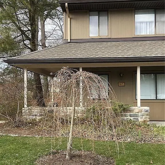 254 Hampshire Dr — Photo 1