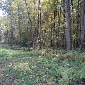 0 Stone Barn Rd, Cleveland, NY, 13042
