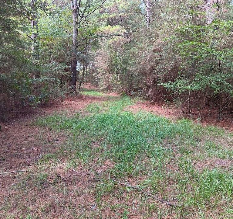 Coppersford Rd, Tylertown, MS 39667 Zillow