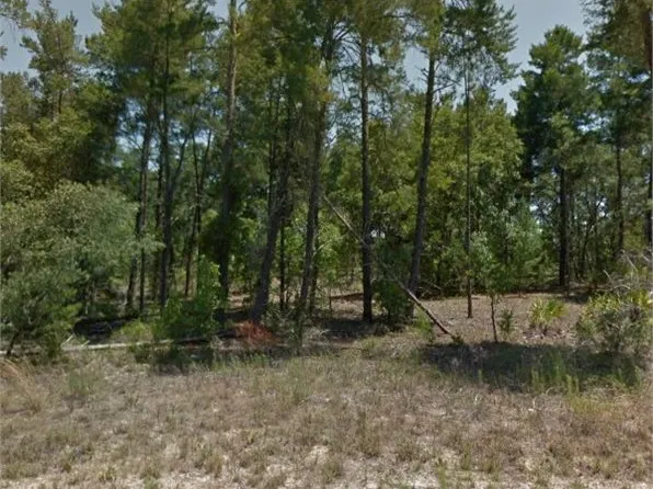 30 Matricaria Ct, Homosassa, FL 34446