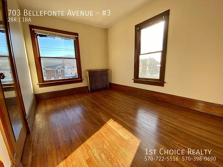 703 Bellefonte Ave #3 — Photo 3