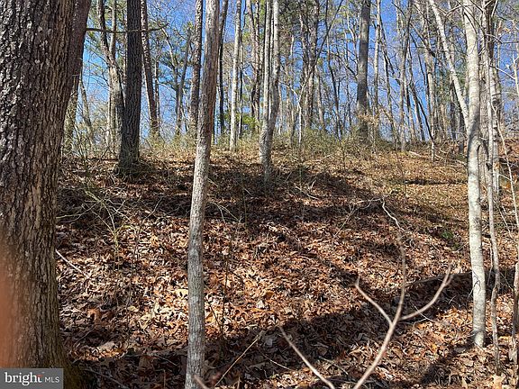 3rd image of 0 Bear Cove Rd