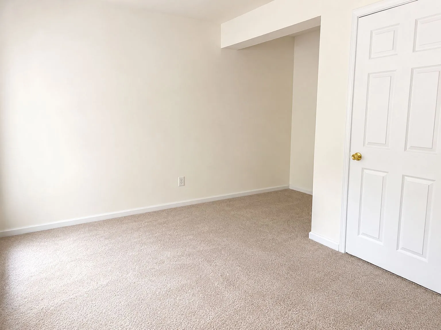 913 Tiger Ln — Photo 4