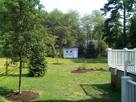 back yard