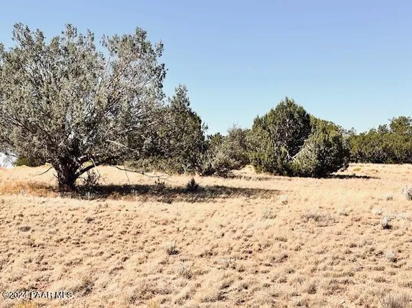 296N W Rocky Top Rd, Seligman, AZ 86337