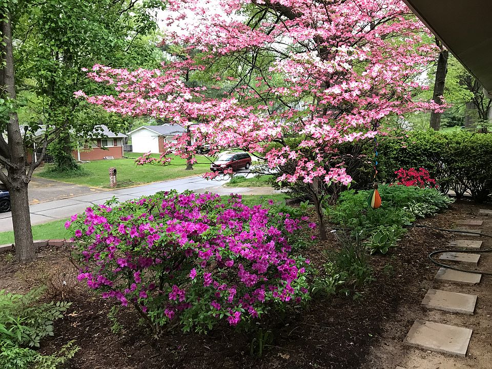 1st image of 826 Mary Meadows Ln