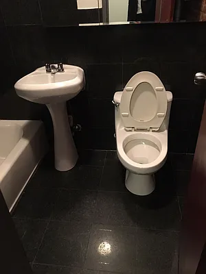 Rented by International Property Services LLC | media 9