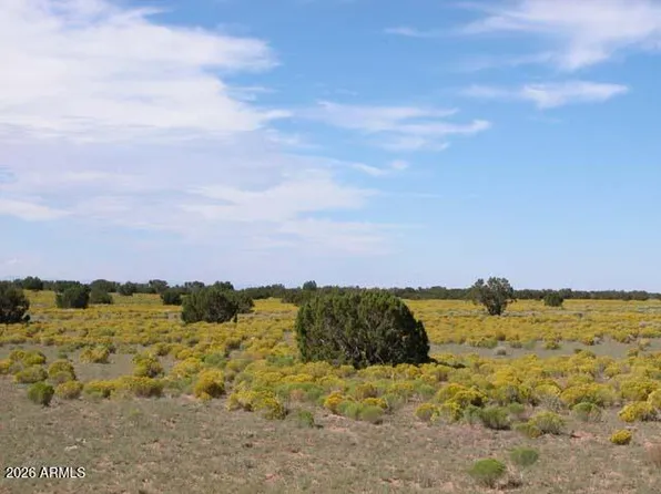 206-10-409 Bar Nothing Ranch Road #-, Chambers, AZ 86502