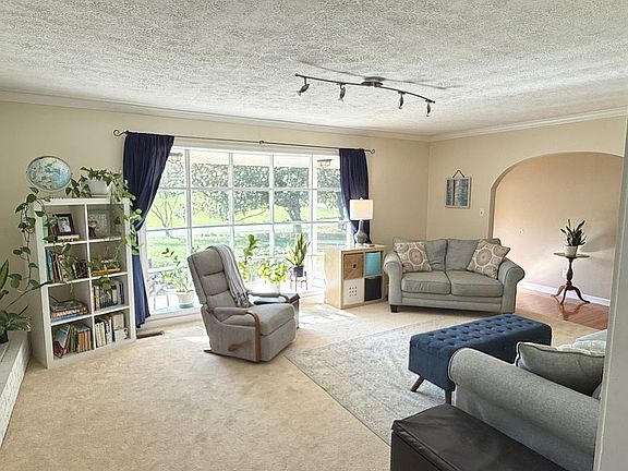 Sun-filled Living Room