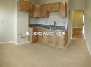 718 Shawmut Ave #2JJ, Roxbury, MA 02119