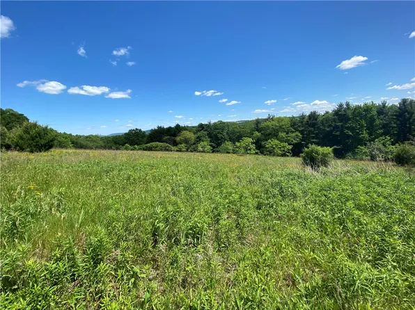 0 Saunders Hill Rd #38, Naples, NY 14512