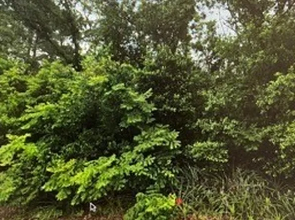 0 Prespare Ct, Spring Hill, FL 34606