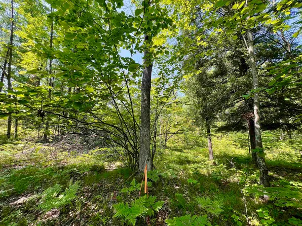 Kafka Rd #1, Wausaukee, WI 54177