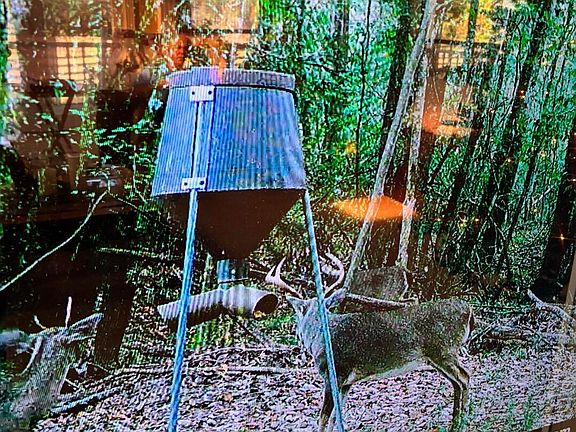 3rd image of 50 Oakdale Church Rd