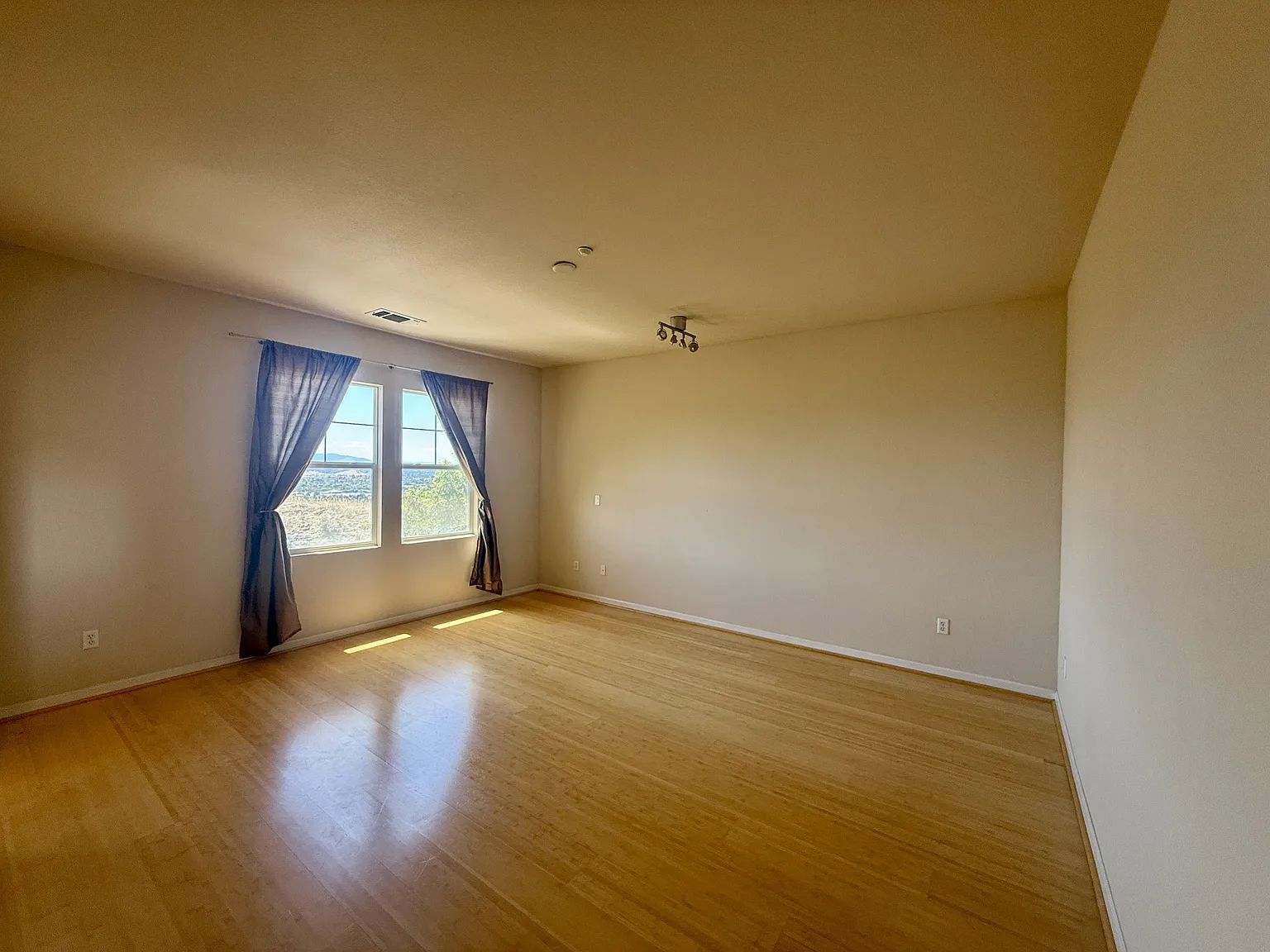 4373 Red Maple Way - Main — Photo 3