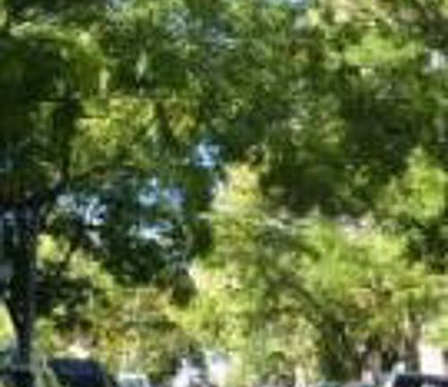 Exterior Neighborhood (street photo)