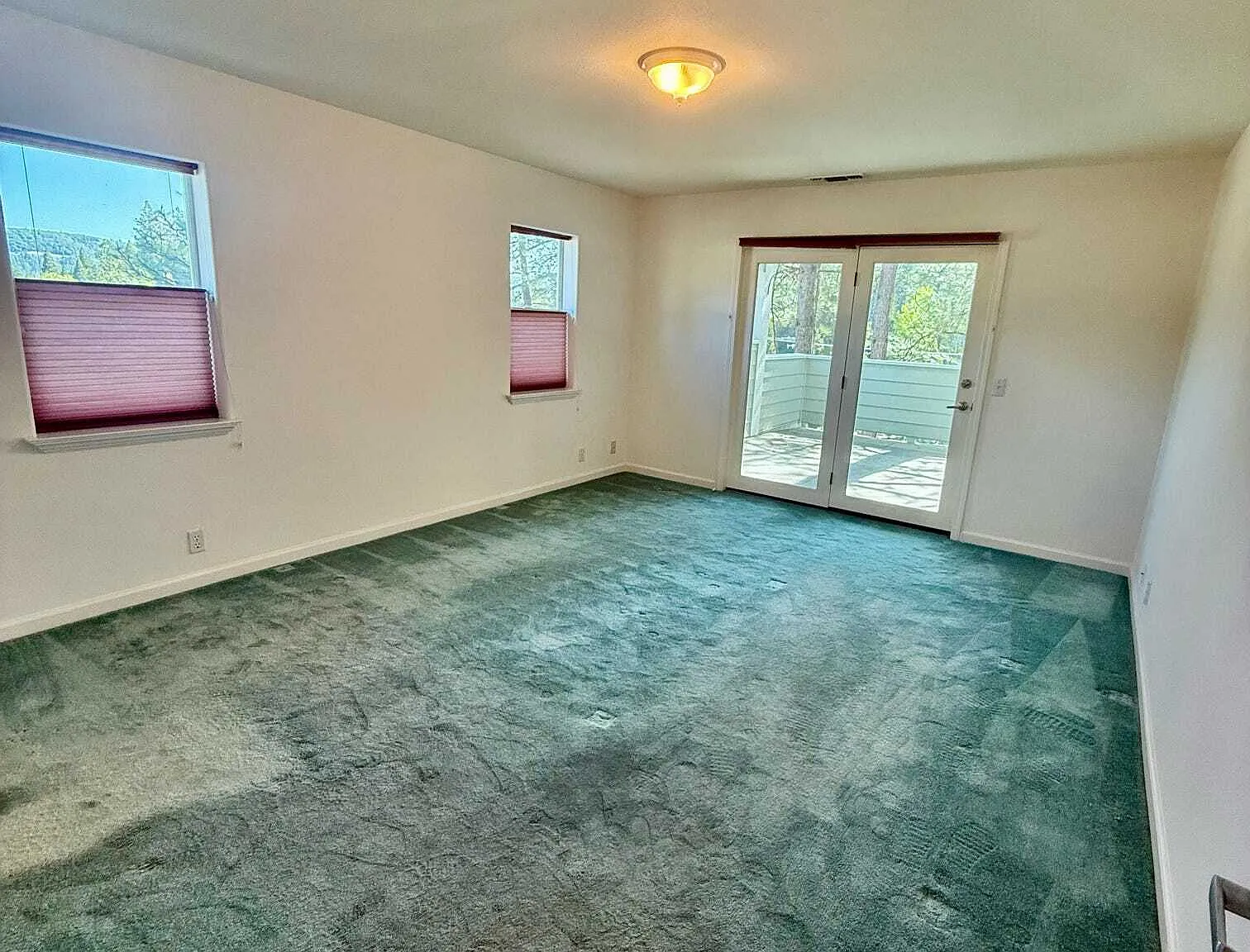 133 Argall Way - 1 - 1 — Photo 4