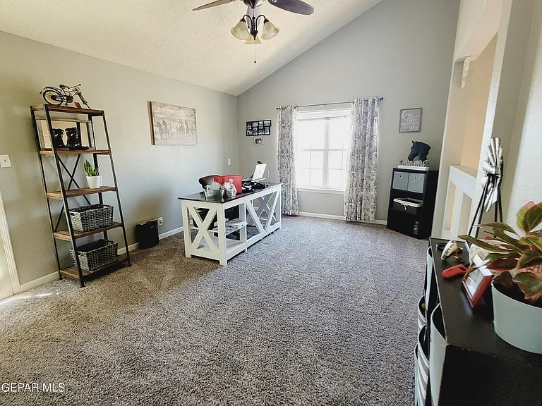 7401 Plaza Taurina Dr — Photo 22