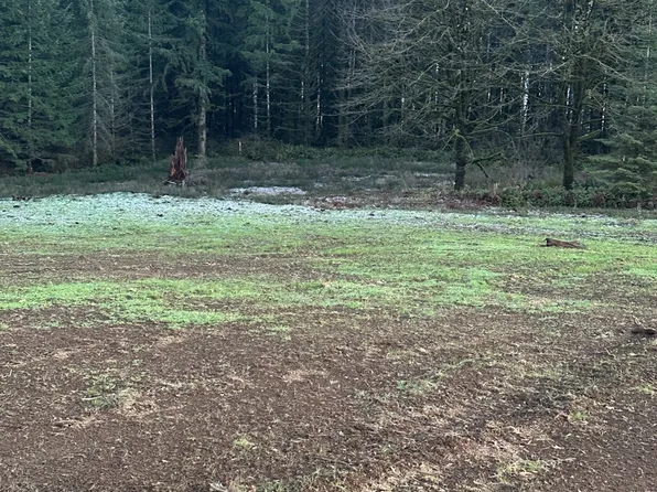 245 Suncrest Dr #4, Castle Rock, WA 98611