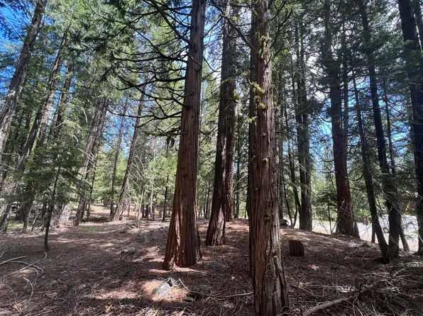 30 Mohave Trl, Graeagle, CA 96103