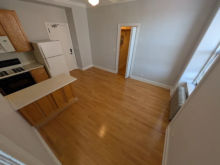 3330 N Lake Shore Dr — Photo 8
