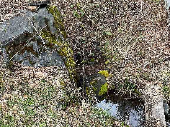 4th image of 23811 Scott River Rd