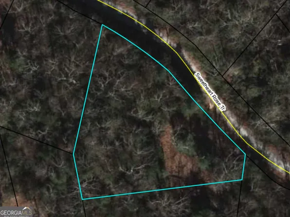 0 Sweetheart Rose Trl, Clayton, GA 30525