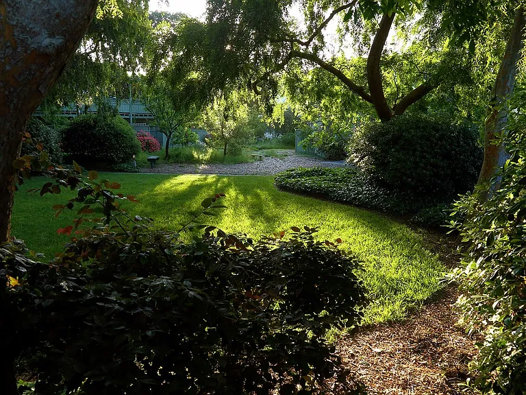 Late afternoon views of the grounds