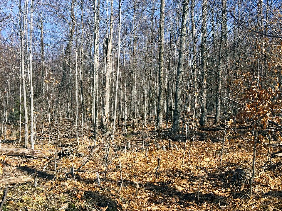 1st image of 5 Bend Lane