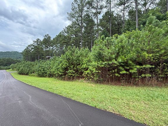 4th image of LOT 174 The Stables Loop