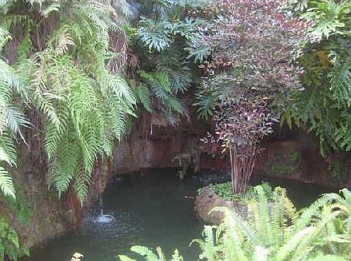 300 Ft Waterfall grotto w/koi pond.