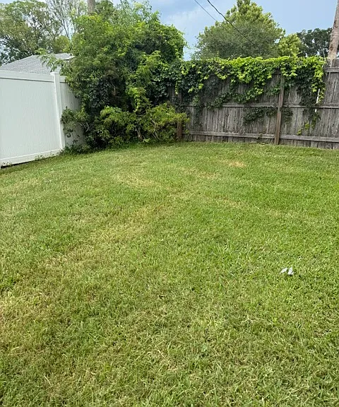 3215 Travelers Palm Dr — Photo 1