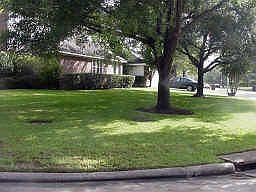 2nd image of 11310 Corola Trail Dr