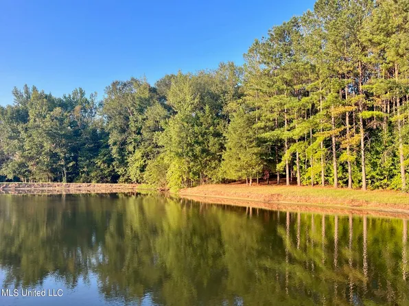 Robinson Springs Rd, Flora, MS 39071