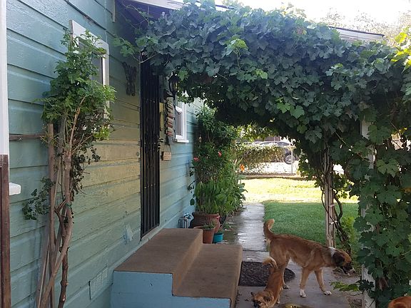 4th image of 34787 Avenue H