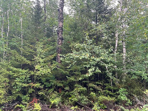4th image of LOT 187 Pineview Dr
