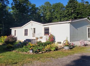 381 Skinner Rd, Richfield Springs, NY 13439