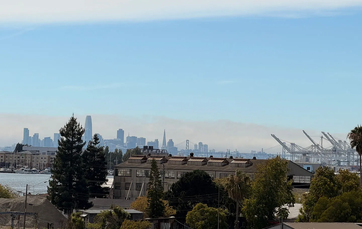 One Bedroom Unit With San Francisco & Bay Views - Parking Included (Ev Charging)!! — Photo 1