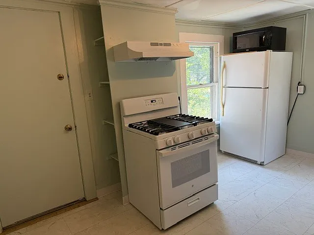 209 West Clinton Street (or Clinton Street West) Ithaca NY 14850 — Photo 10